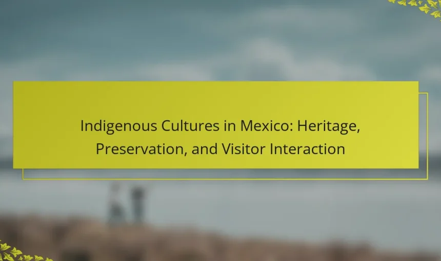 Indigenous Cultures in Mexico: Heritage, Preservation, and Visitor Interaction