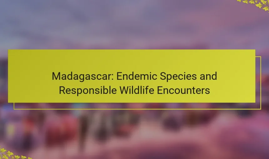 Madagascar: Endemic Species and Responsible Wildlife Encounters