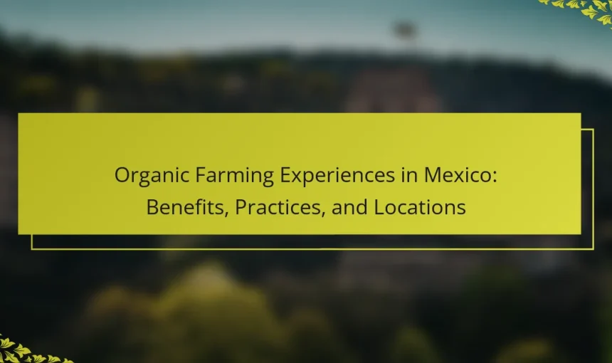 Organic Farming Experiences in Mexico: Benefits, Practices, and Locations