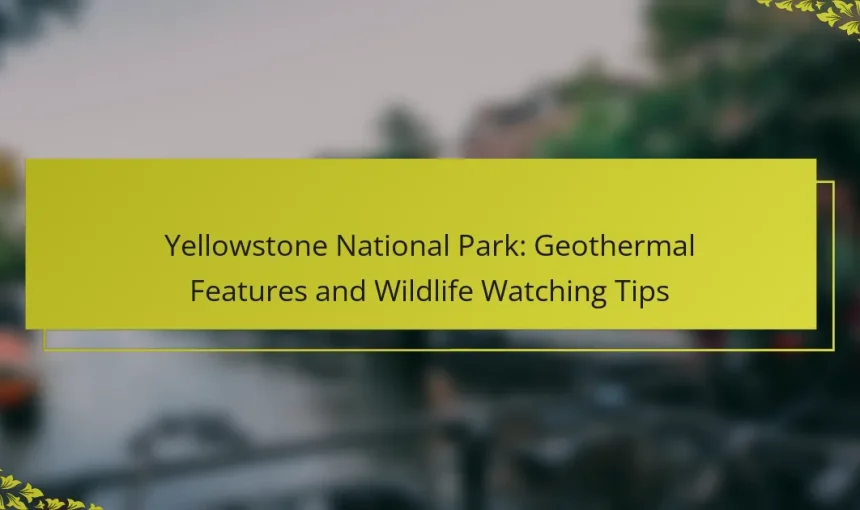 Yellowstone National Park: Geothermal Features and Wildlife Watching Tips