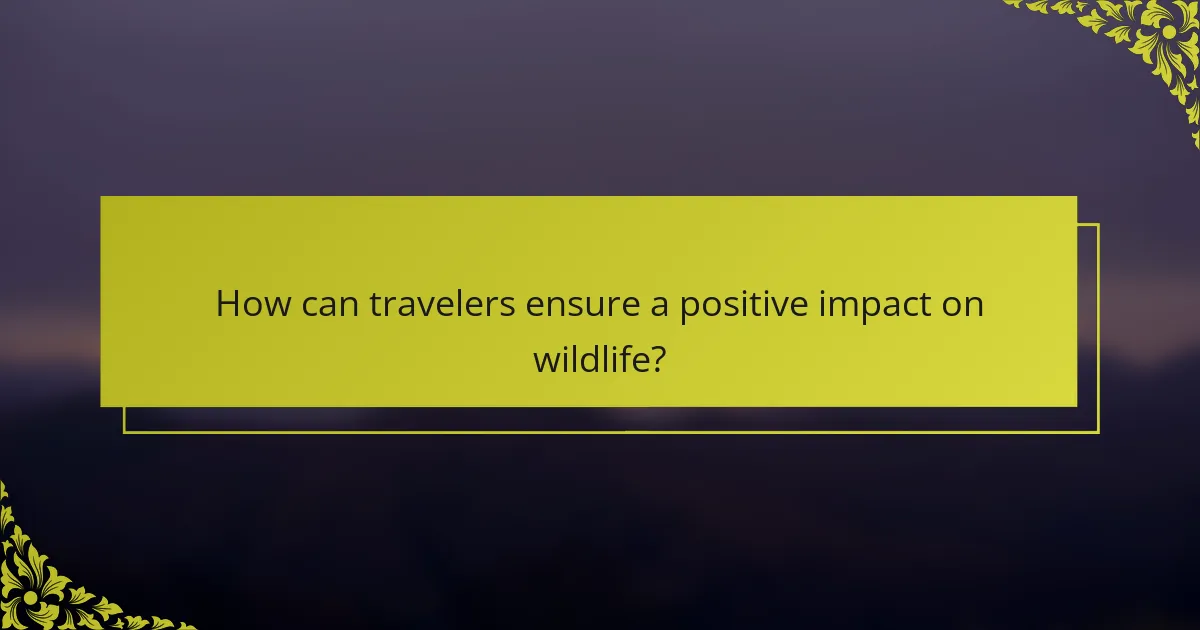 How can travelers ensure a positive impact on wildlife?