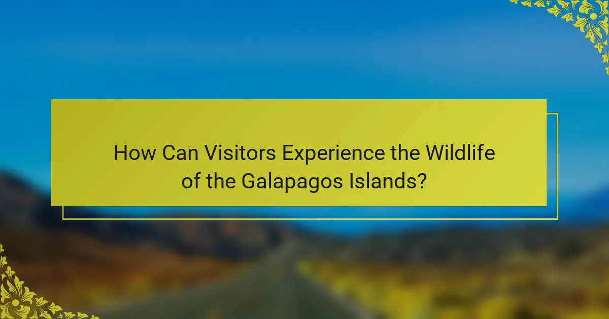 How Can Visitors Experience the Wildlife of the Galapagos Islands?