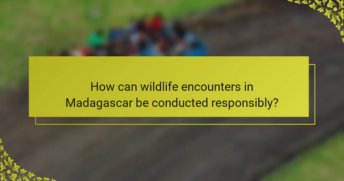How can wildlife encounters in Madagascar be conducted responsibly?