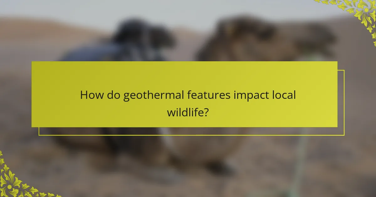 How do geothermal features impact local wildlife?