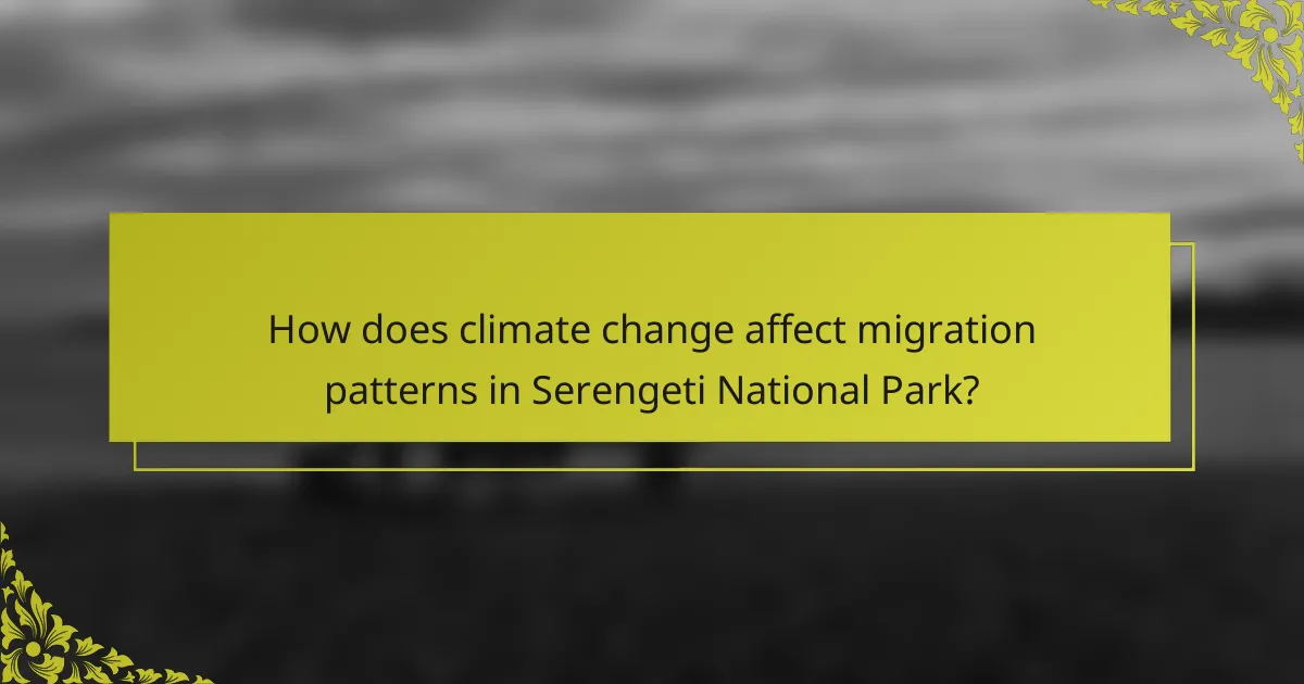How does climate change affect migration patterns in Serengeti National Park?