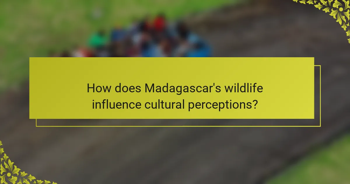 How does Madagascar's wildlife influence cultural perceptions?