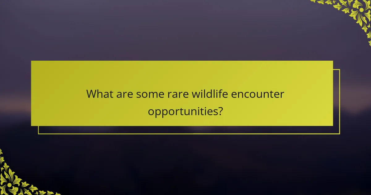 What are some rare wildlife encounter opportunities?