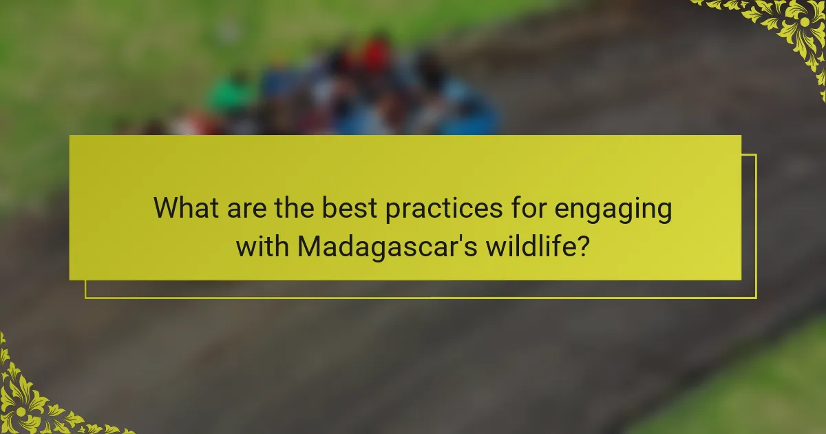 What are the best practices for engaging with Madagascar's wildlife?