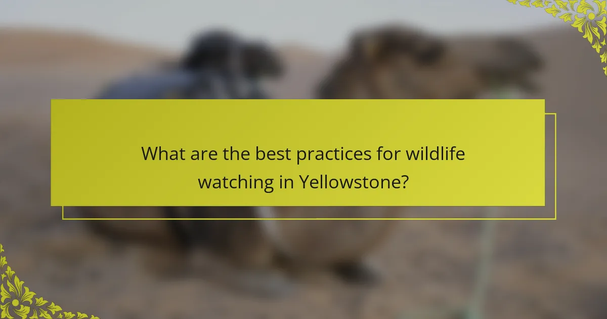 What are the best practices for wildlife watching in Yellowstone?