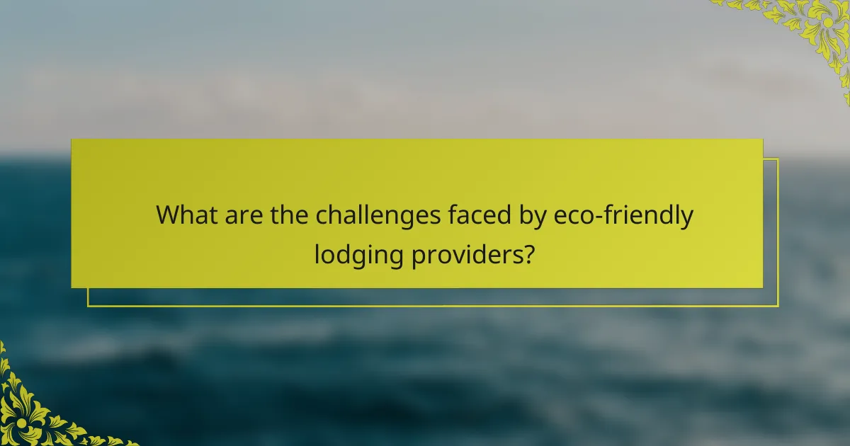 What are the challenges faced by eco-friendly lodging providers?