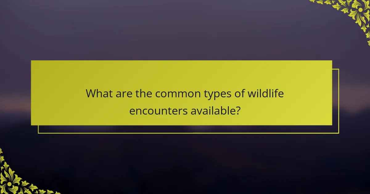 What are the common types of wildlife encounters available?