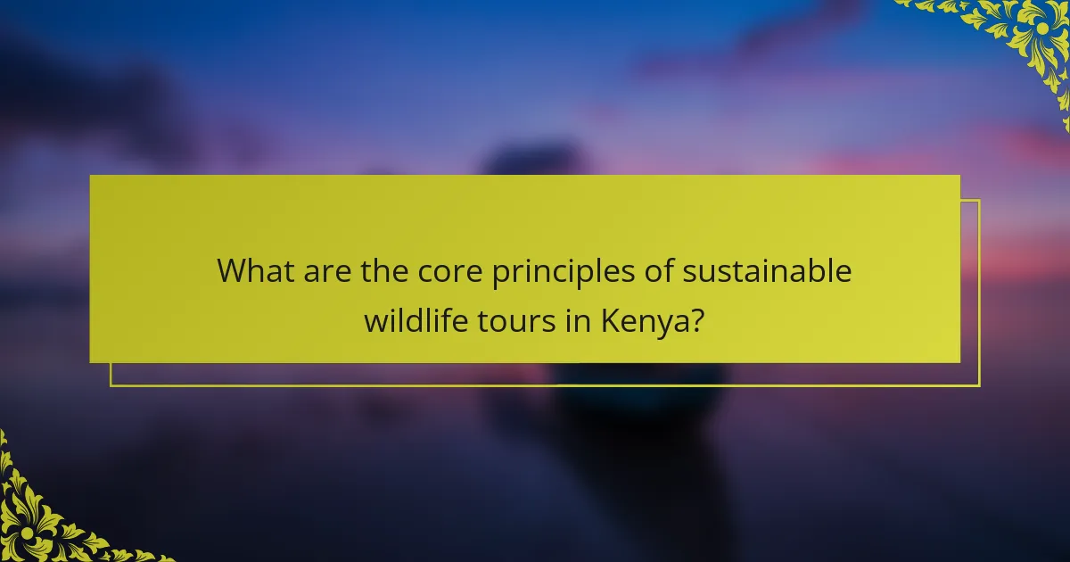 What are the core principles of sustainable wildlife tours in Kenya?