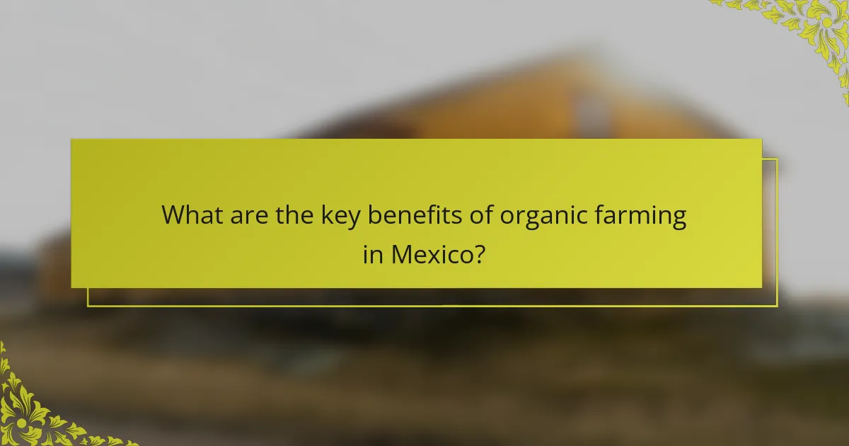 What are the key benefits of organic farming in Mexico?