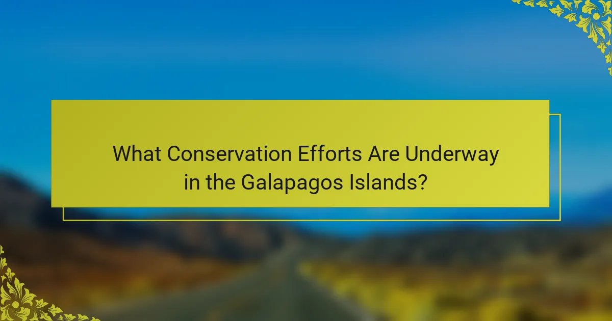 What Conservation Efforts Are Underway in the Galapagos Islands?