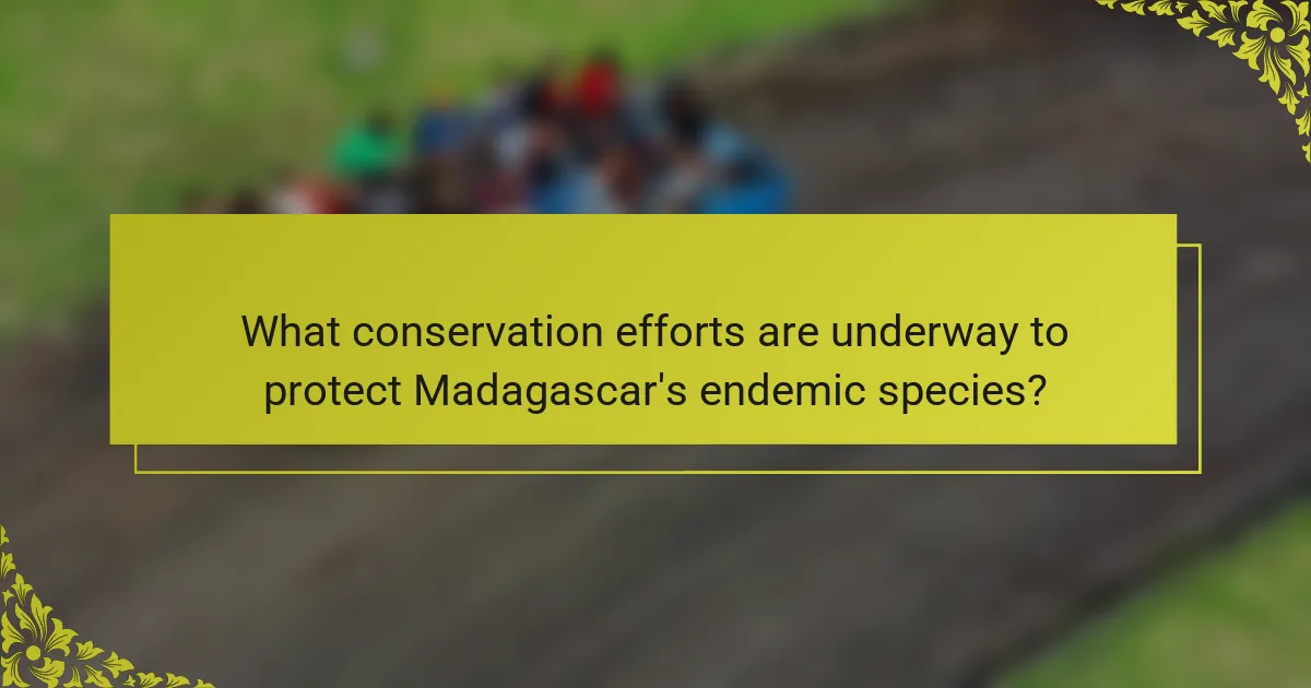 What conservation efforts are underway to protect Madagascar's endemic species?