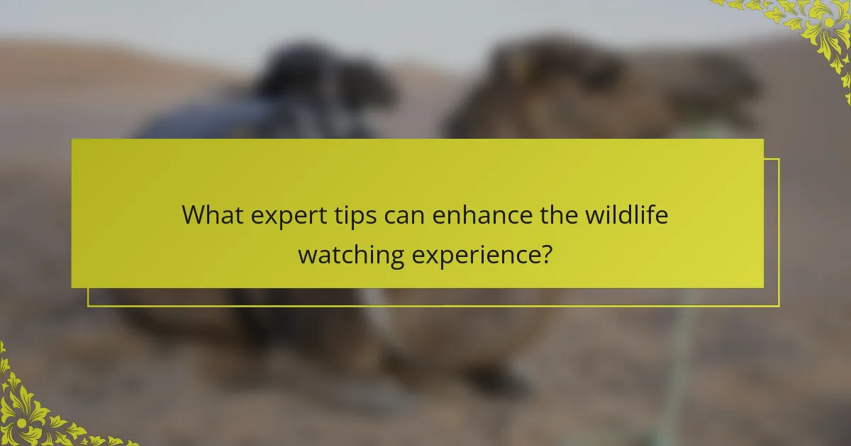 What expert tips can enhance the wildlife watching experience?