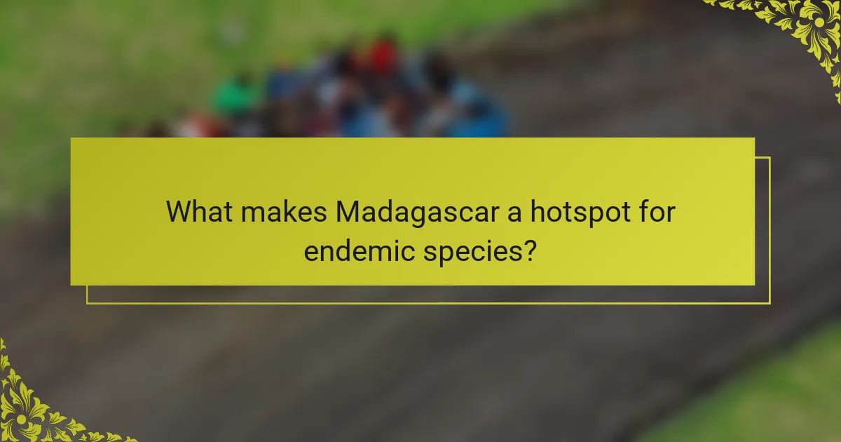 What makes Madagascar a hotspot for endemic species?