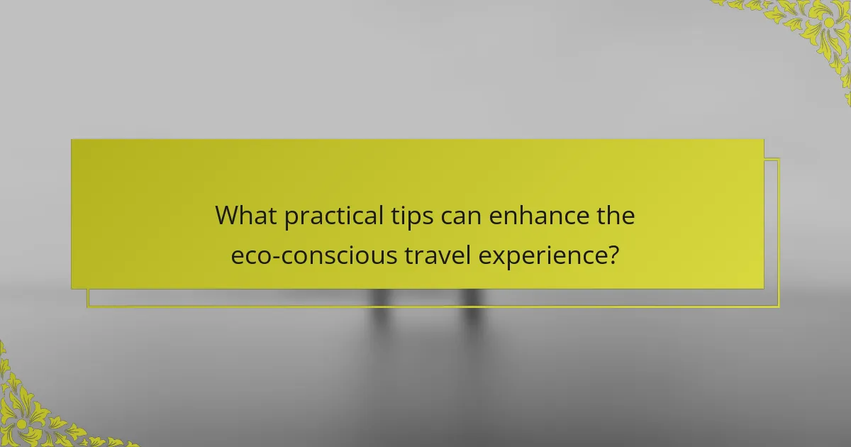 What practical tips can enhance the eco-conscious travel experience?