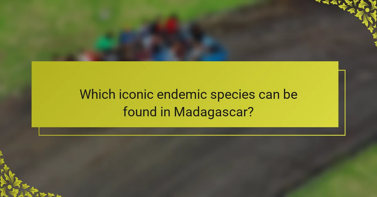 Which iconic endemic species can be found in Madagascar?